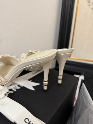 Ch. Kitten Heels